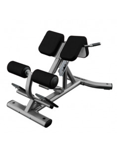 Life Fitness Back Extension...