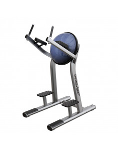 Life Fitness Leg Raise de...