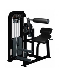 Hammer Strength Select Back...